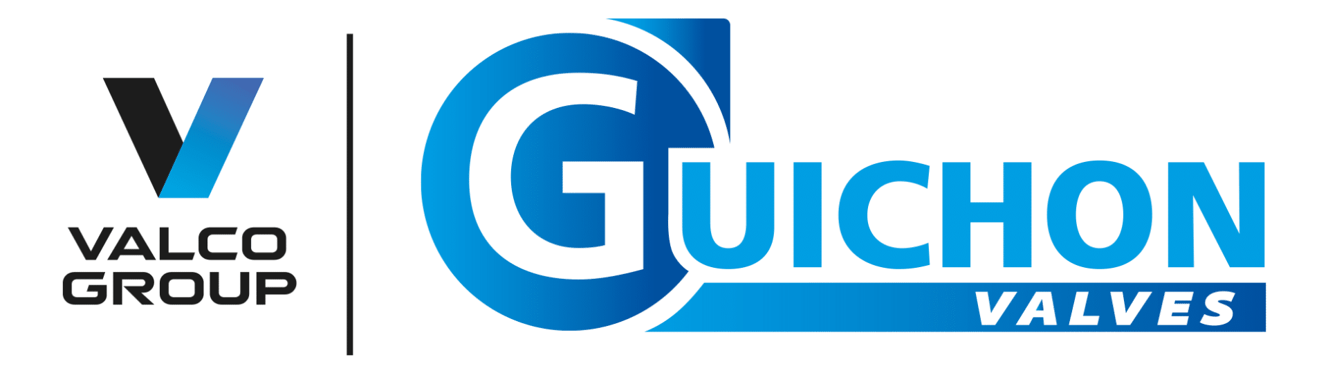 Guichon valco