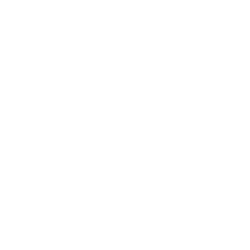 icone camera